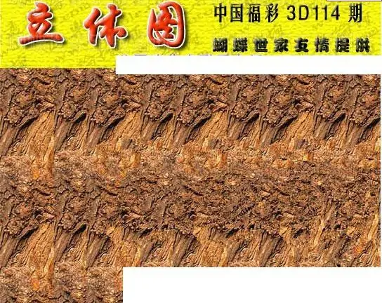 25114期: 3D蝴蝶世家蝴蝶彩图