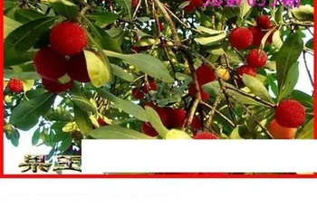 26053期: 白老3D杀码图版