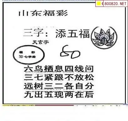 25165期: 三毛3D精品图谜