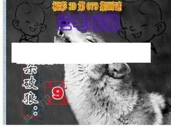 26079期: 三毛3D精品图谜