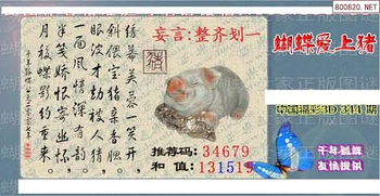 25344期: 3D蝴蝶世家蝴蝶彩图