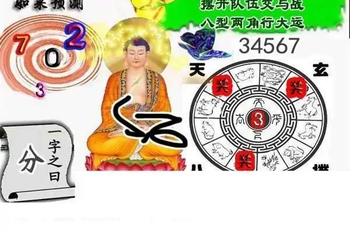 25324期: 白老3D杀码图版