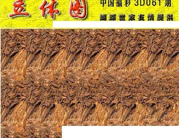 26061期: 3D蝴蝶世家蝴蝶彩图