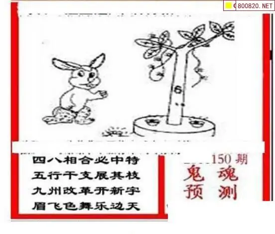 25150期: 三毛3D精品图谜