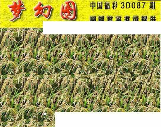 24087期: 3D蝴蝶世家蝴蝶彩图