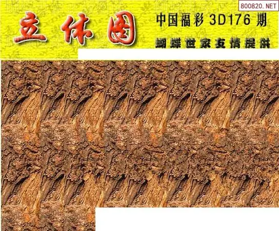 25176期: 3D蝴蝶世家蝴蝶彩图