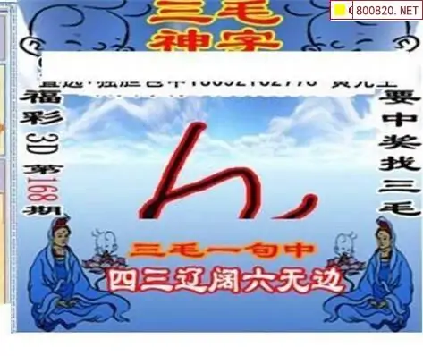 25168期: 三毛3D精品图谜