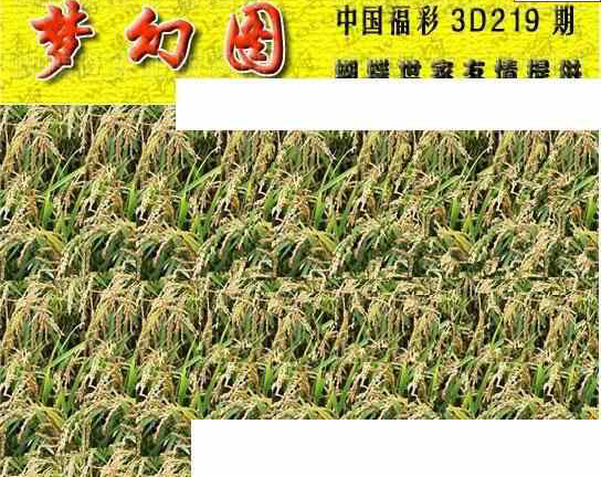 24219期: 3D蝴蝶世家蝴蝶彩图