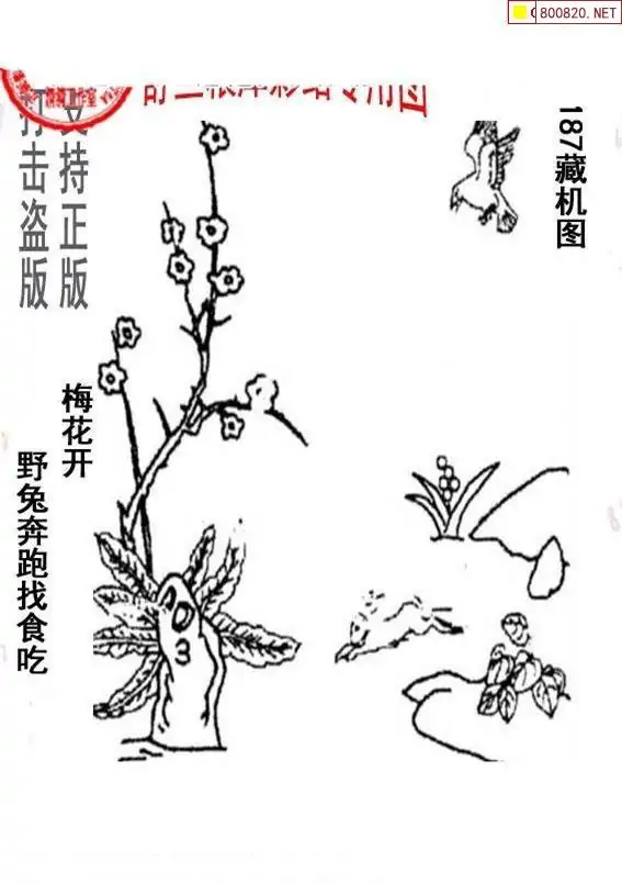 25187期: 老村长福彩3D天天图谜