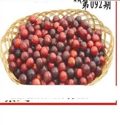 25092期: 白老3D杀码图版