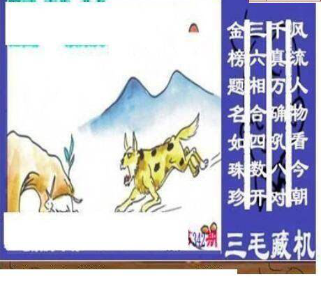 24342期: 三毛3D精品图谜