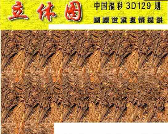 24129期: 3D蝴蝶世家蝴蝶彩图