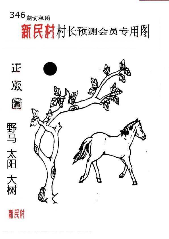 24346期: 老村长福彩3D天天图谜
