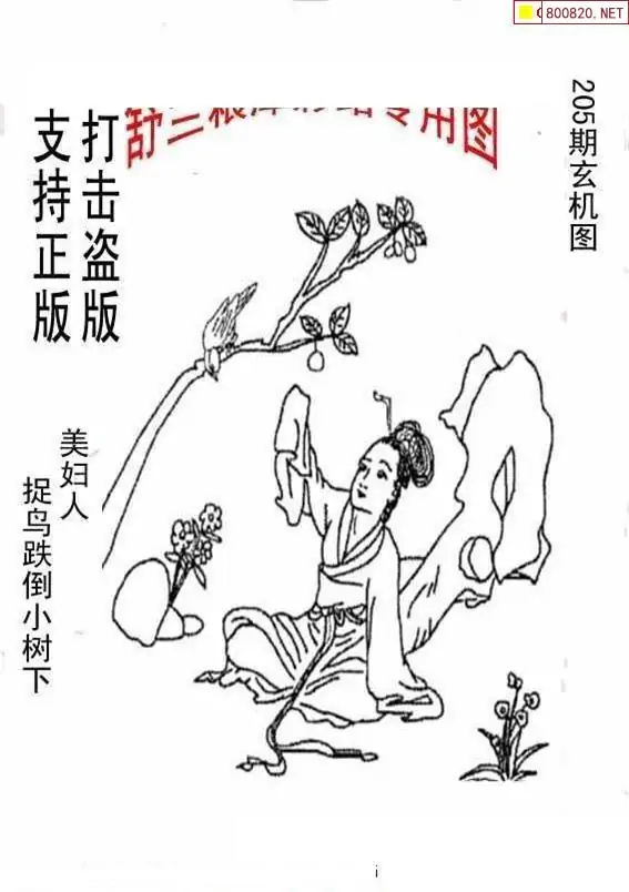 25205期: 老村长福彩3D天天图谜