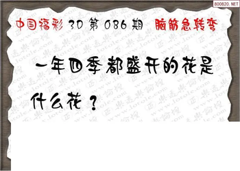 26086期: 3D蝴蝶世家蝴蝶彩图