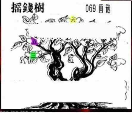 24069期: 三毛3D精品图谜
