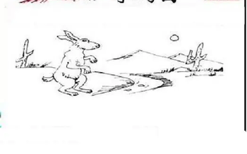 26108期: 三毛3D精品图谜