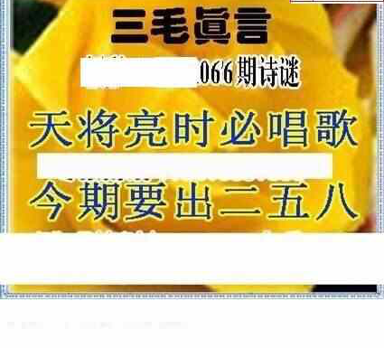 24066期: 三毛3D精品图谜