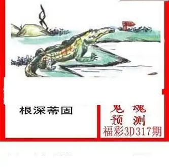 25317期: 白老3D杀码图版