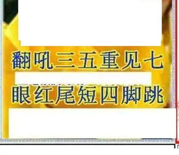 26004期: 三毛3D精品图谜