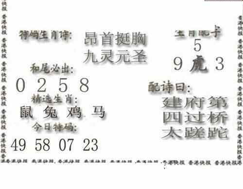 24138期: 白老3D杀码图版