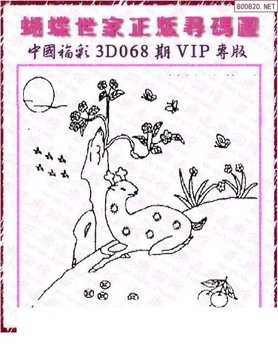 26068期: 3D蝴蝶世家蝴蝶彩图