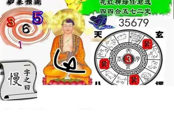 26009期: 白老3D杀码图版