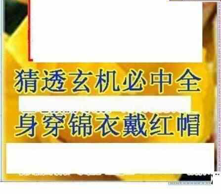 25036期: 三毛3D精品图谜