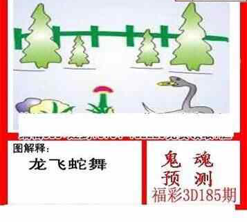 24185期: 白老3D杀码图版