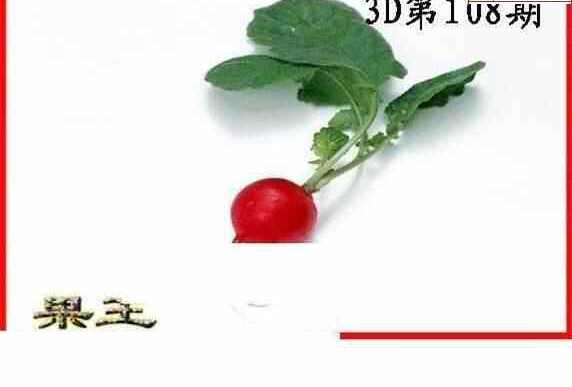 24108期: 白老3D杀码图版