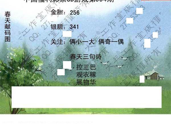 25004期: 大兵福彩3D黄金报图版