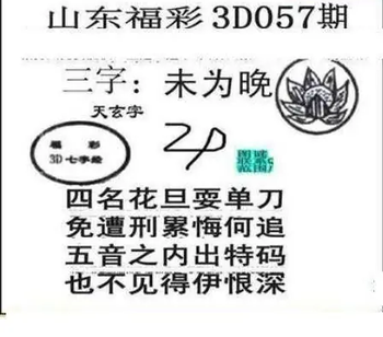 26057期: 三毛3D精品图谜