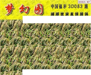 26083期: 3D蝴蝶世家蝴蝶彩图