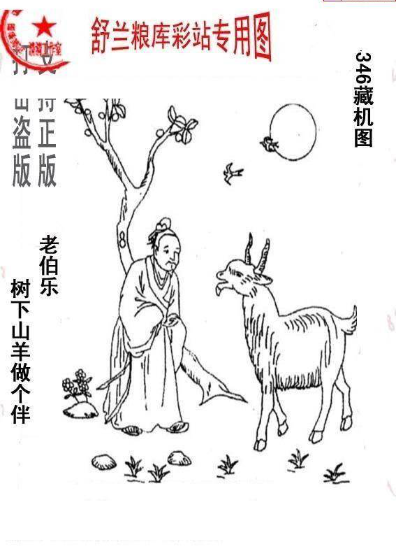 24346期: 老村长福彩3D天天图谜