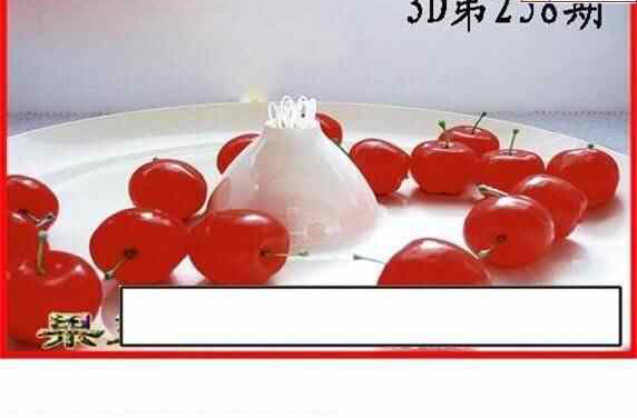 24258期: 白老3D杀码图版