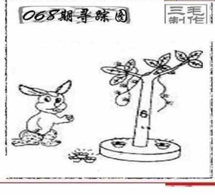 24068期: 三毛3D精品图谜