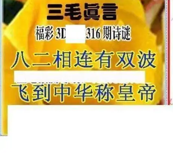 25316期: 三毛3D精品图谜