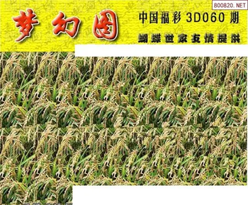 26060期: 3D蝴蝶世家蝴蝶彩图