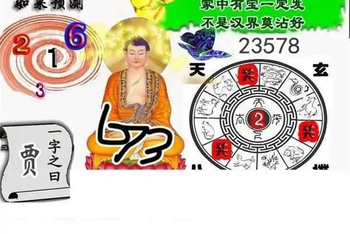 25337期: 白老3D杀码图版