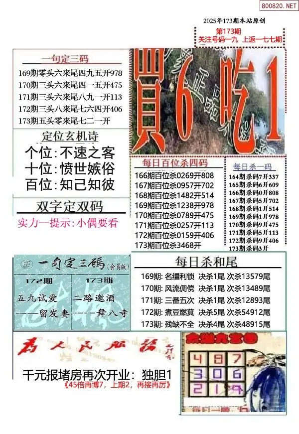 25173期: 福彩3D全套图版参考