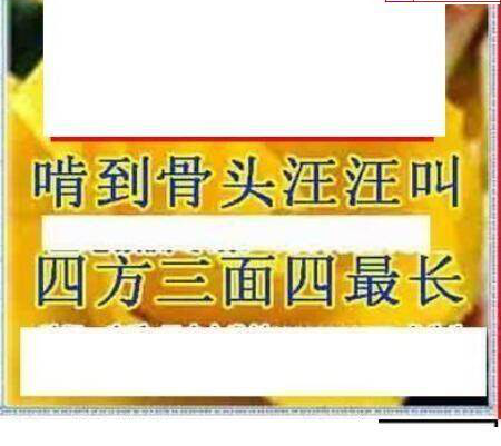 25008期: 三毛3D精品图谜