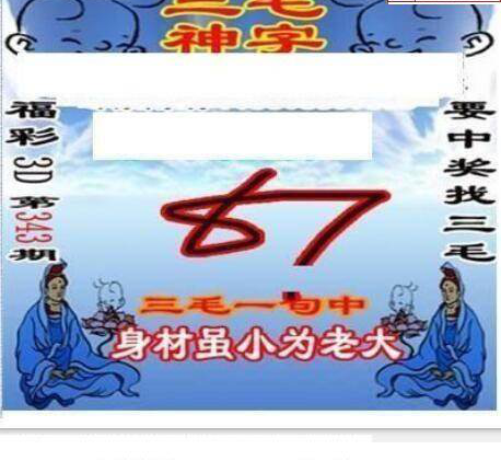 24343期: 三毛3D精品图谜