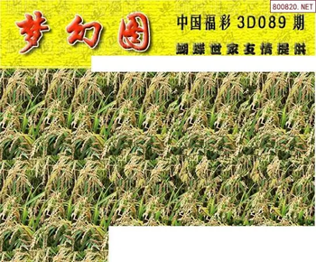 26089期: 3D蝴蝶世家蝴蝶彩图