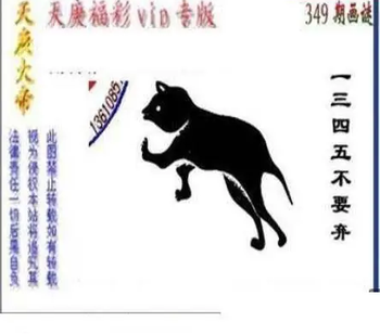 25349期: 三毛3D精品图谜