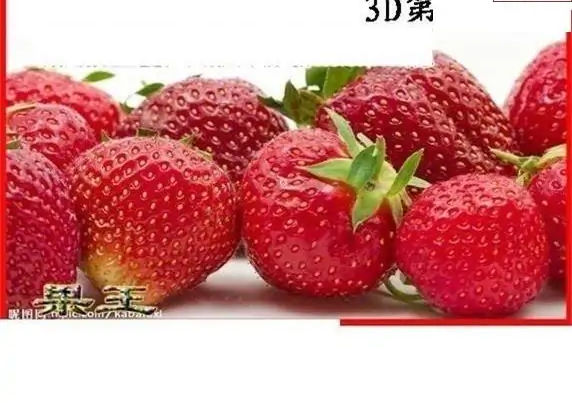 25121期: 白老3D杀码图版