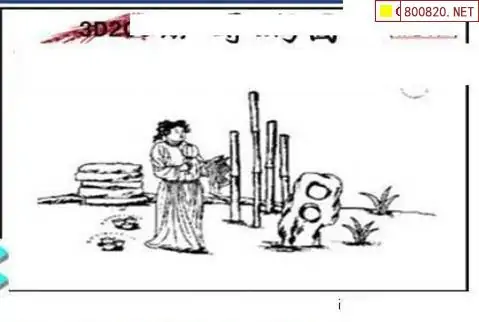 25200期: 三毛3D精品图谜