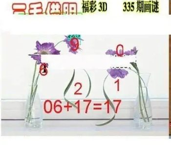 25335期: 三毛3D精品图谜