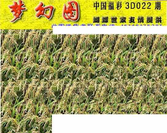 25022��: 3D�������Һ�����ͼ