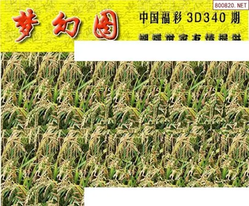 25340期: 3D蝴蝶世家蝴蝶彩图