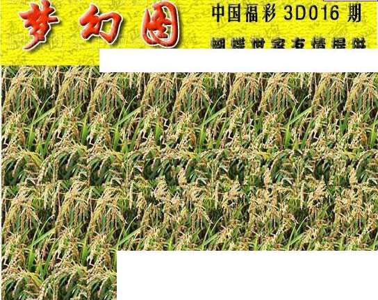 25016期: 3D蝴蝶世家蝴蝶彩图